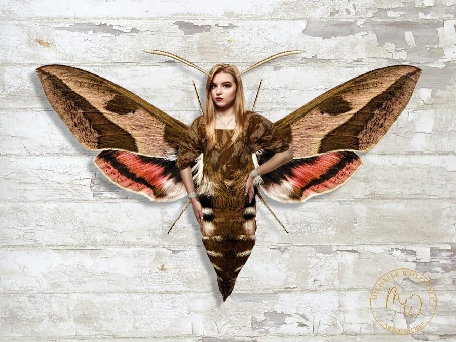 Interview with Angela Adams