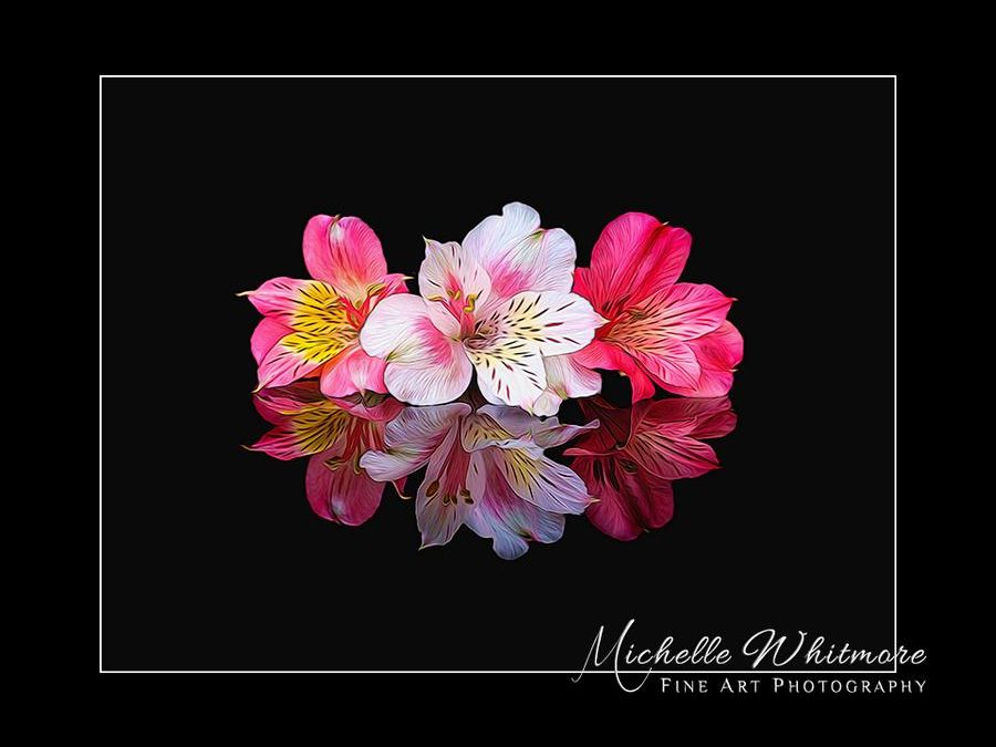 Adding a border in Photoshop